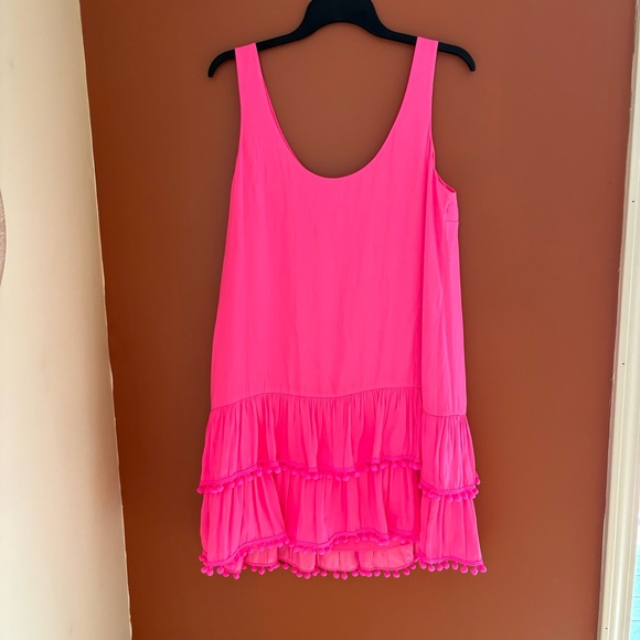 Lilly Pulitzer Natashia Pom Pom Pink Dress - Picture 6 of 7